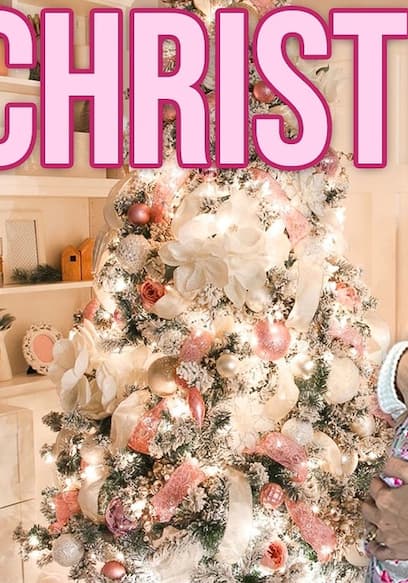 S03:E12 - Christmas Day Special With Family poster