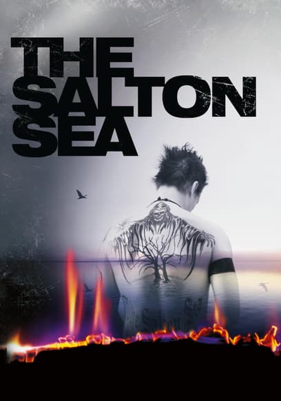 The Salton Sea