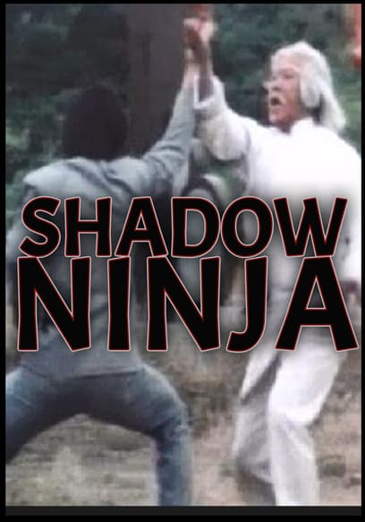 Shadow Ninja