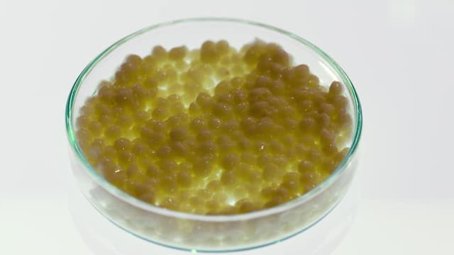 S15:E35 - Episode 35