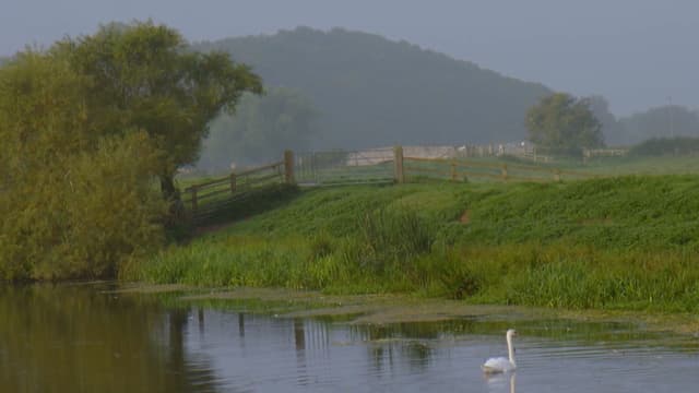 S01:E11 - Badger Cubs