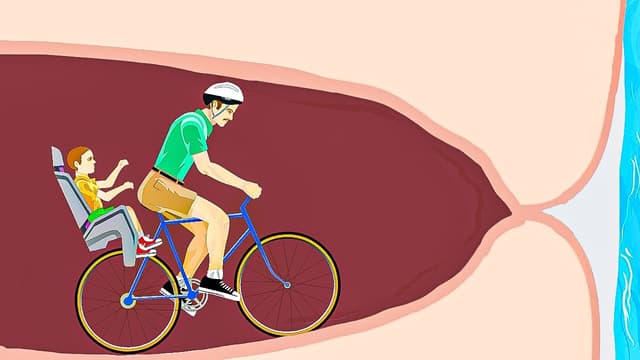 S41:E24 - Pain and Cars