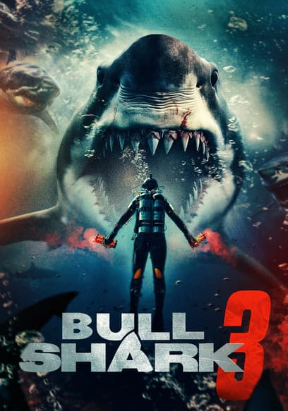Bull Shark 3