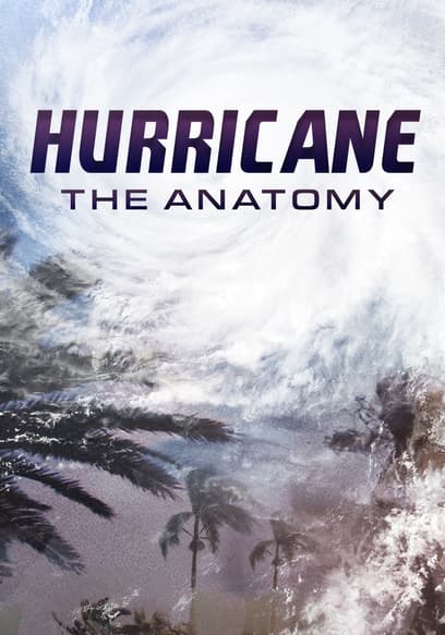 Hurricane: The Anatomy