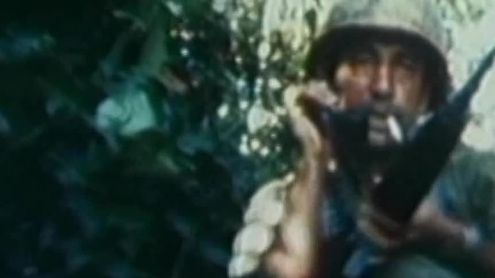 Watch 19 Years in Vietnam: Beans, Bullets and Bandaids - Free Movies | Tubi