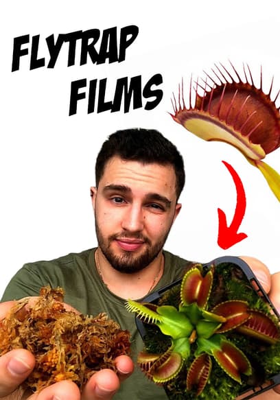 Flytrap Films poster