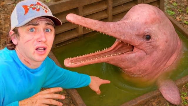 S02:E01 - I Found Dolphins in a Sewer!