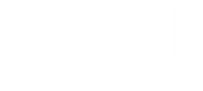 Police: Hour of Duty