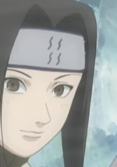 S01:E14 - The Number One Hyperactive, Knucklehead Ninja Joins the Fight! poster