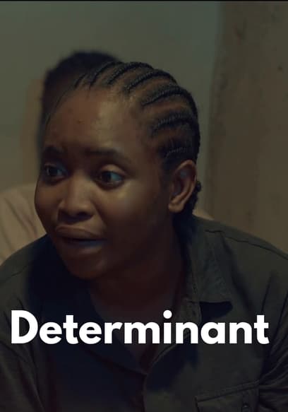Determinant poster