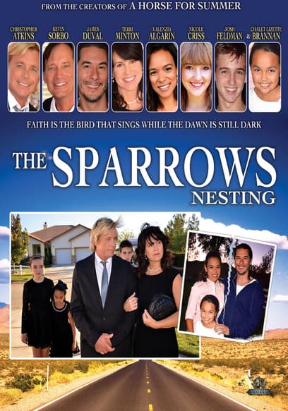 The Sparrows: Nesting