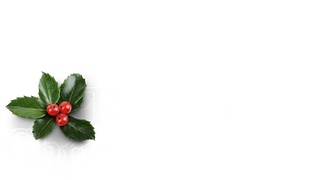 The Rooftop Christmas Tree