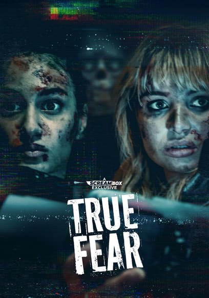 True Fear poster