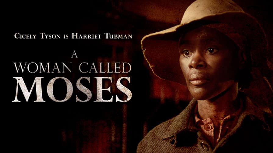 A Woman Called Moses poster