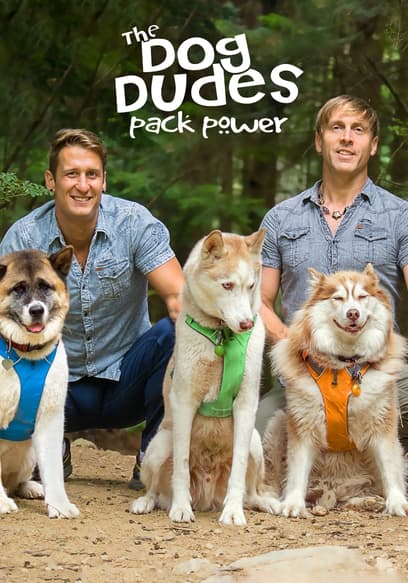 S01:E06 - The Bodyguard