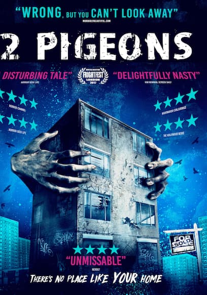 2 Pigeons poster