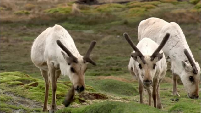 S01:E06 - El final del aislamiento