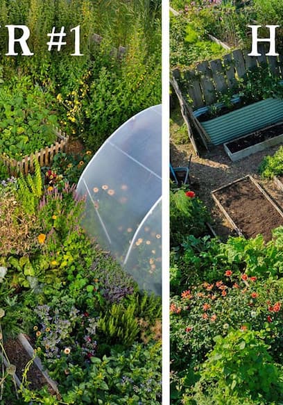 S01:E09 - Rescuing an Abandoned Kitchen Garden poster