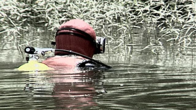 S04:E19 - The Bitemark / Justice for Eglena