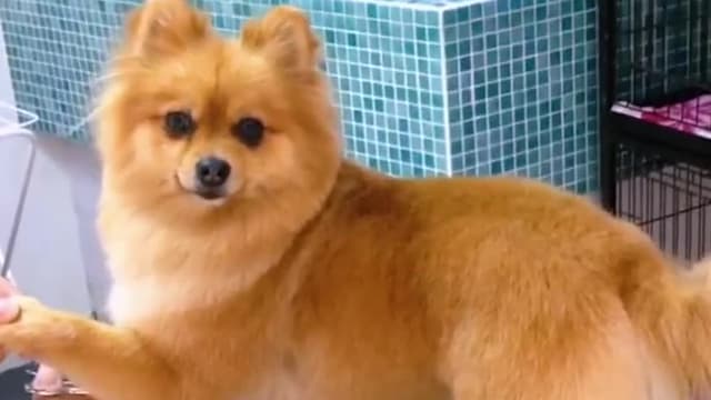 S01:E15 - Episode 15