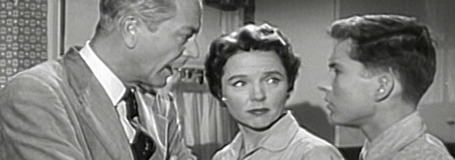 Watch Father Knows Best S03:E20 - The Lawn Party - Free TV Shows | Tubi