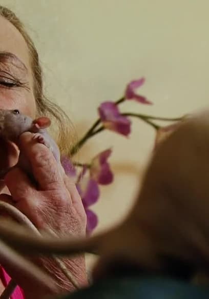 Watch My Strange Addiction S02:E01 - Rats / Extreme Fingernails - Free ...