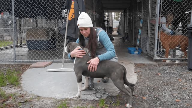 S01:E12 - On the Road