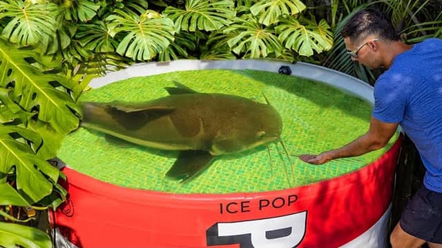RAWWFishing