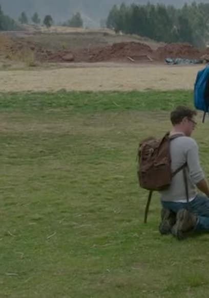 S01:E02 - Alpaca poster