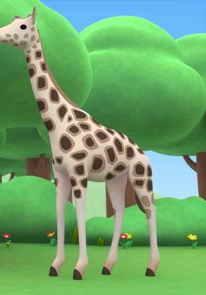 Watch Leo The Wildlife Ranger S01:E55 - Rothschild's Giraffe - Free TV ...