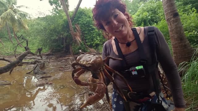 S01:E02 - Stranded Again