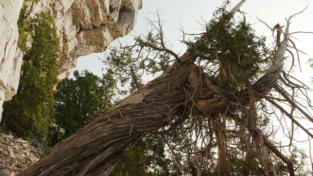 S02:E02 - Niagara Escarpment