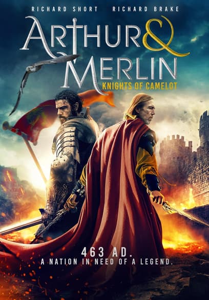 Arthur & Merlin: Knights of Camelot