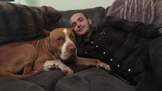 S13:E11 - The Dogs That Stole Our Hearts