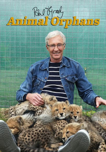 Paul O'Grady's Animal Orphans