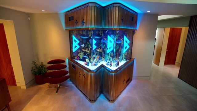 S09:E04 - Marshawn Lynch Goes Beast Mode