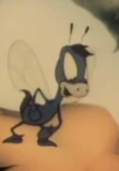 S01:E02 - Yankee Doodle Donkey, Snubbed by a Snob, You Can't Shoe a Horse Fly, Vitamin Hay poster