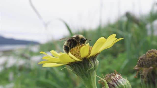 S01:E03 - Un ecosistema funcional