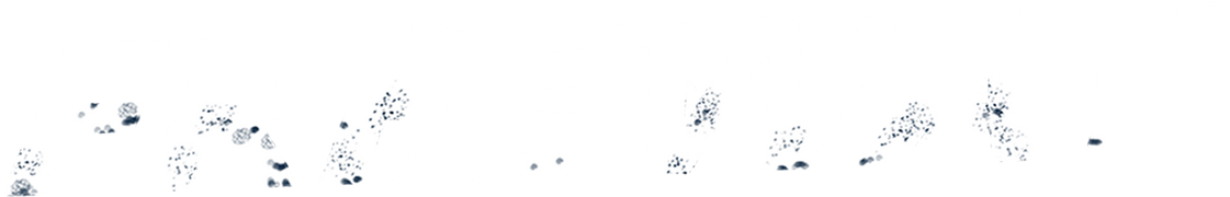Freeway