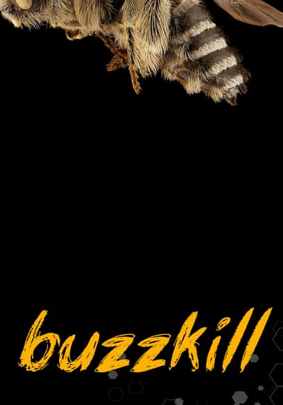 Watch Buzzkill (2021) - Free Movies | Tubi