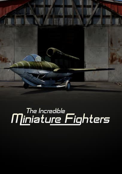 The Incredible Miniature Fighters