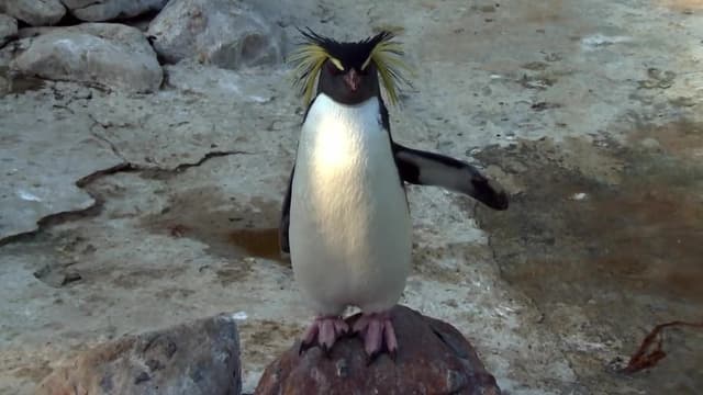 S01:E01 - Baby Fever