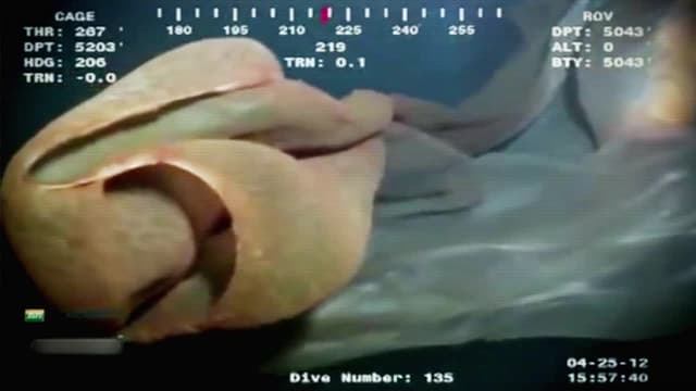 S01:E06 - Monster of the Deep