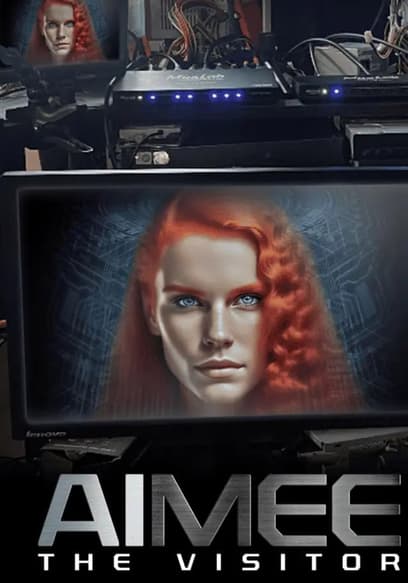 AIMEE: The Visitor