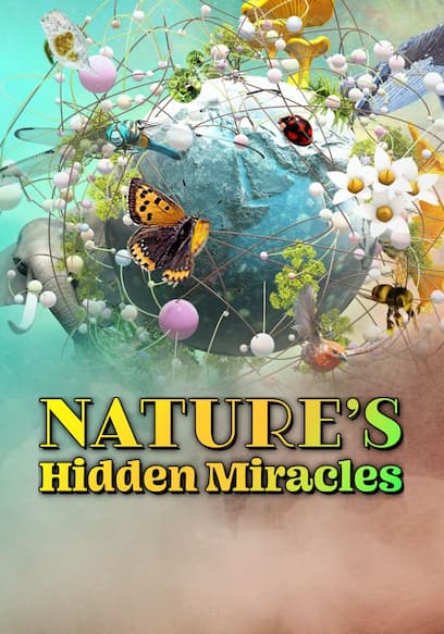 Nature's Hidden Miracles