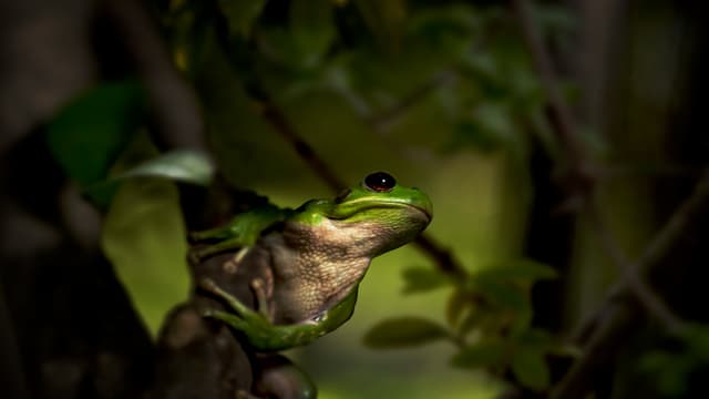 T01:C09 - S01:E09 - Defensas