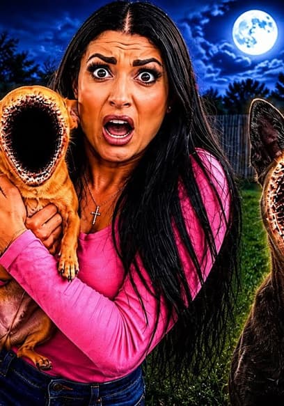 S01:E12 - My Pets Don't Have Faces Anymore... poster