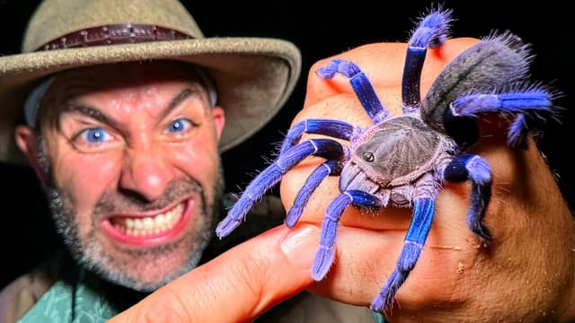 Brave Wilderness: Bites & Stings