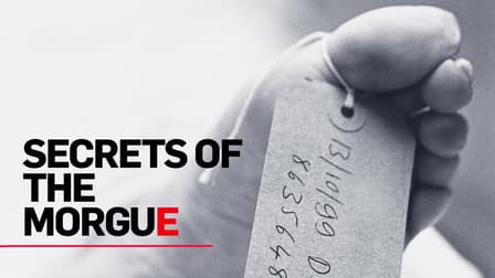 Watch Secrets of the Morgue - Free TV Shows | Tubi