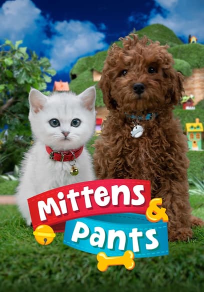 S01:E13 - Splashyball, Night Night Pants, the New Toy